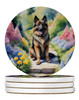 Belgian Tervuren Spring Path Large Sandstone Absorbent Round Coasters Pack of 4 product image at NuMercy