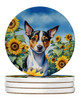 Rat Terrier in Sunflowers Large Sandstone Absorbent Round Coasters Pack of 4 product image at NuMercy