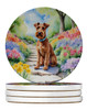 Irish Terrier Spring Path Large Sandstone Absorbent Round Coasters Pack of 4 product image at NuMercy