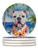 American Bulldog Luau Large Sandstone Absorbent Round Coasters Pack of 4 product image at NuMercy