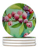 Connecticut Mountain Laurels in Watercolor Large Sandstone Absorbent Round Coasters Pack of 4 DAC1634 product image at 