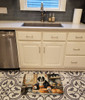 Saint Bernard Fall Kitchen Pumpkins Memory Foam Bath/Kitchen Mat product image at NuMercy 2