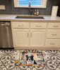 Border Collie The Chef Memory Foam Bath/Kitchen Mat product image at NuMercy 2