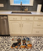 Cairn Terrier Fall Kitchen Pumpkins Memory Foam Bath/Kitchen Mat DAC1759 product image at NuMercy 2