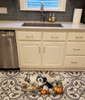 Old English Sheepdog Fall Kitchen Pumpkins Memory Foam Bath/Kitchen Mat DAC1797 product image at NuMercy 2