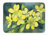 South Carolina Yellow Jessamine in Watercolor Memory Foam Bath/Kitchen Mat product image at NuMercy