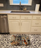 Corgi Fall Kitchen Pumpkins Memory Foam Bath/Kitchen Mat DAC1767 product image at NuMercy 2