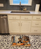 Cairn Terrier Fall Kitchen Pumpkins Memory Foam Bath/Kitchen Mat DAC1758 product image at NuMercy 2