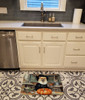Pomeranian Fall Kitchen Pumpkins Memory Foam Bath/Kitchen Mat DAC1799 product image at NuMercy 2