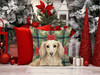 Longhaired Cream Dachshund Christmas Poinsettias Throw Pillow 18" x 18" product image at NuMercy 7
