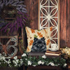 Black Pomeranian Heirloom Fall Throw Pillow 18" x 18" product image at NuMercy 7