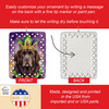 Newfoundland King of Mardi Gras Porcelain Christmas Ornament DAC4840 product image at NuMercy 3