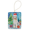 Bearded Collie Christmas Porcelain Ornament DAC3355 product image at NuMercy