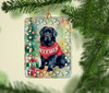 Newfoundland Christmas Porcelain Ornament DAC3529 product image at NuMercy 2