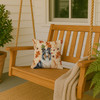 Blue Merle Collie Heirloom Fall Throw Pillow 14" x 14" product image at NuMercy 3