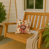 Miniature Red Poodle Heirloom Fall Throw Pillow 14" x 14" product image at NuMercy 3