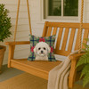 White and Cream Bichon Frise Christmas Poinsettias Throw Pillow 14" x 14" product image at NuMercy 3