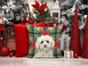White Havanese Christmas Poinsettias Throw Pillow 14" x 14" product image at NuMercy 7