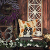 Tricolor Cavalier Spaniel Heirloom Fall Throw Pillow 14" x 14" product image at NuMercy 7
