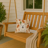 Cream Samoyed Heirloom Fall Throw Pillow 14" x 14" product image at NuMercy 3