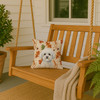 Bichon Frise Heirloom Fall Throw Pillow 14" x 14" product image at NuMercy 3