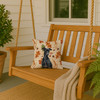 Black Italian Greyhound Heirloom Fall Throw Pillow 14" x 14" product image at NuMercy 3