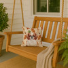 Red and White Japanese Chin Heirloom Fall Throw Pillow 14" x 14" product image at NuMercy 3