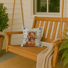 Boykin Spaniel Coastal Sea Glass Throw Pillow 14" x 14" product image at NuMercy 3