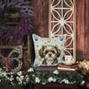 Brindle Shih Tzu Coastal Sea Glass Throw Pillow 14" x 14" product image at NuMercy 7