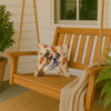 Brindle and White English Bulldog Heirloom Fall Throw Pillow 14" x 14" product image at NuMercy 3