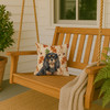 Black and Tan Cavalier Spaniel Heirloom Fall Throw Pillow 14" x 14" product image at NuMercy 3