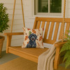 Black Portuguese Water Dog Heirloom Fall Throw Pillow 14" x 14" product image at NuMercy 3