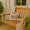 Gold and White Shih Tzu Heirloom Fall Throw Pillow 14" x 14" product image at NuMercy 3