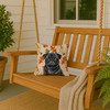 Black Pug Heirloom Fall Throw Pillow 14" x 14" product image at NuMercy 3