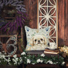 Cream Pekingese Coastal Sea Glass Throw Pillow 14" x 14" product image at NuMercy 7