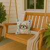 Fawn Pekingese Coastal Sea Glass Throw Pillow 14" x 14" product image at NuMercy 3