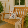 White English Bulldog Heirloom Fall Throw Pillow 14" x 14" product image at NuMercy 3