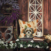 Brindle Shih Tzu Heirloom Fall Throw Pillow 14" x 14" product image at NuMercy 7