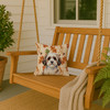 Parti-color Havanese Heirloom Fall Throw Pillow 14" x 14" product image at NuMercy 3