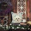 White and Cream Bichon Frise Coastal Sea Glass Throw Pillow 14" x 14" product image at NuMercy 7