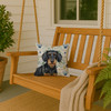 Wirehaired Black and Tan Dachshund Coastal Sea Glass Throw Pillow 14" x 14" product image at NuMercy 3
