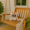 Brindle and White Saint Bernard Heirloom Fall Throw Pillow 14" x 14" product image at NuMercy 3