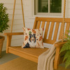 Tricolor Collie Heirloom Fall Throw Pillow 14" x 14" product image at NuMercy 3