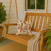 Corgi Heirloom Fall Throw Pillow 14" x 14" product image at NuMercy 3