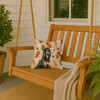 Black & Tan Afghan Hound Heirloom Fall Throw Pillow 14" x 14" product image at NuMercy 3