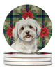 Coton de Tulear Christmas Poinsettias Large Sandstone Absorbent Round Coasters Pack of 4 product image at NuMercy