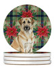 Anatolian Shepherd Dog Christmas Poinsettias Large Sandstone Absorbent Round Coasters Pack of 4 product image at NuMercy