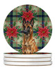 Mahogany Belgian Malinois Christmas Poinsettias Large Sandstone Absorbent Round Coasters Pack of 4 product image at NuMercy