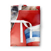 Cairn Terrier Patriotic American Cooking Kitchen Apron DAC5676 product image at NuMercy 3