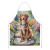 Nova Scotia Duck Tolling Retriever Spring Path Cooking Kitchen Apron product image at NuMercy
